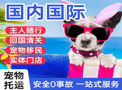 朝阳机场空运国际宠物托运 【国